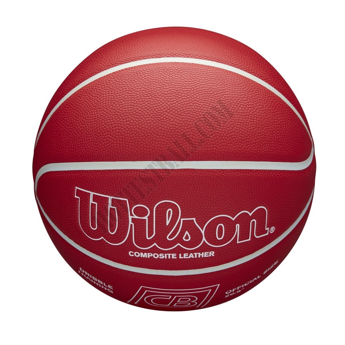 Chris Brickley Dribble Training Basketball - Wilson Discount Store - -4