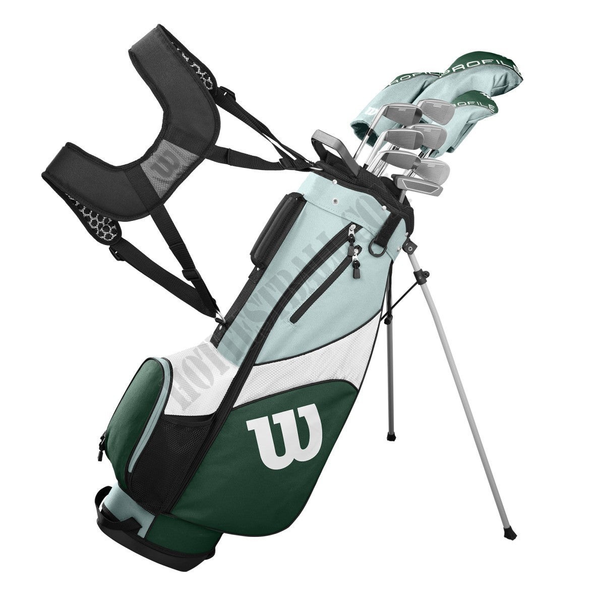 Women's Profile SGI Complete Golf Set - Carry - Wilson Discount Store - -1