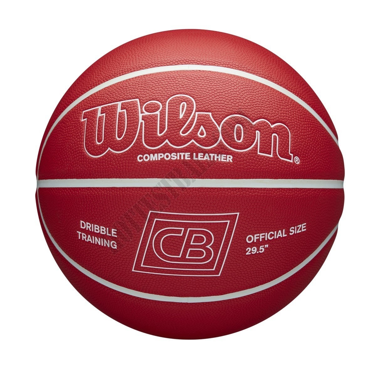 Chris Brickley Dribble Training Basketball - Wilson Discount Store - -0