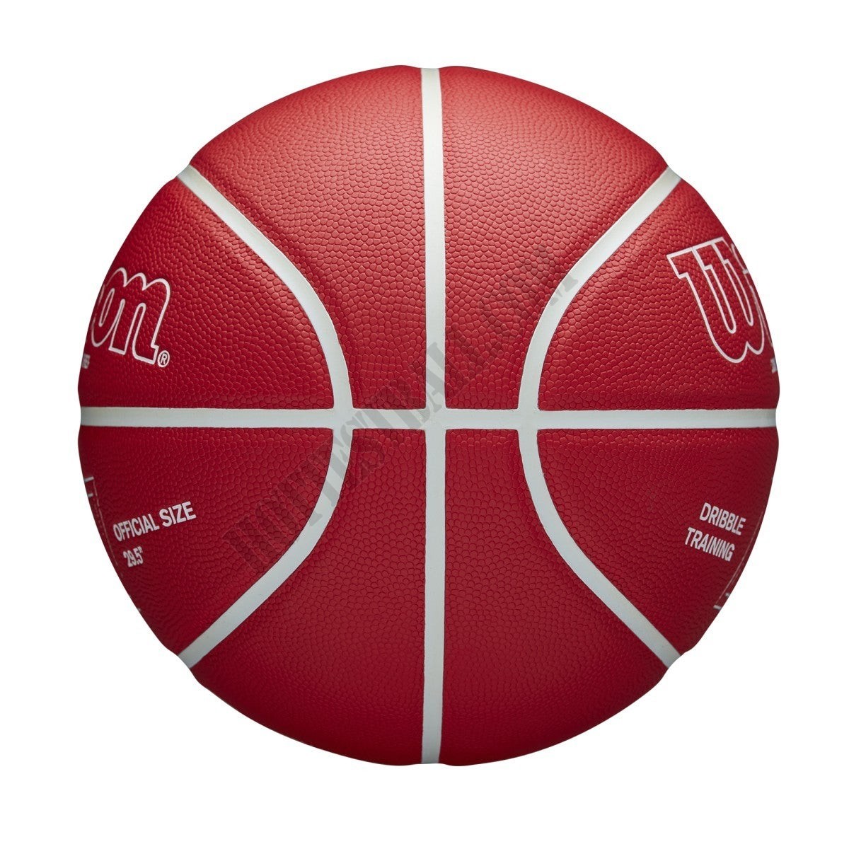 Chris Brickley Dribble Training Basketball - Wilson Discount Store - -3