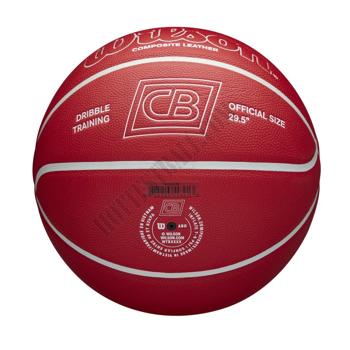 Chris Brickley Dribble Training Basketball - Wilson Discount Store - -5