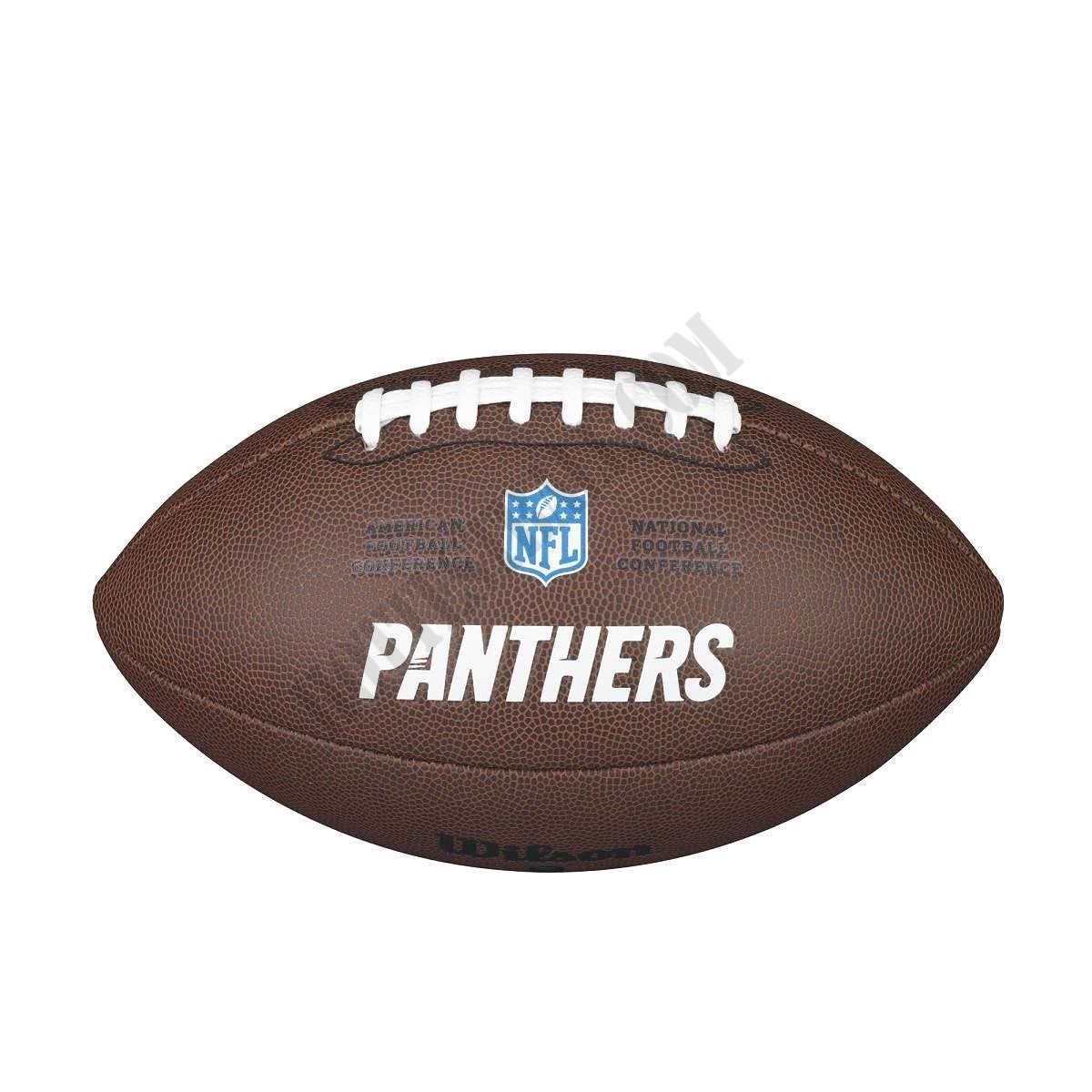 NFL Backyard Legend Football - Carolina Panthers ● Wilson Promotions - -1