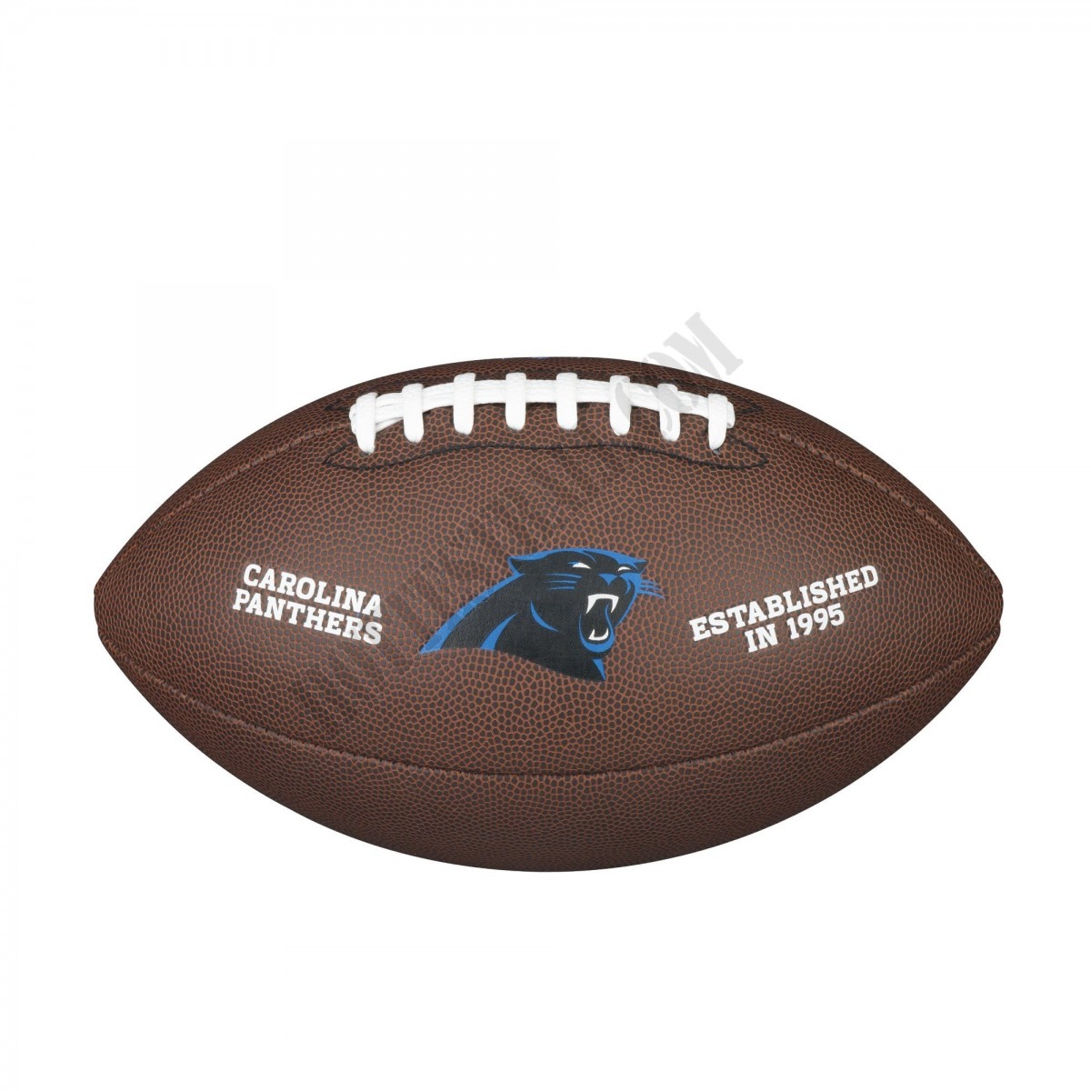 NFL Backyard Legend Football - Carolina Panthers ● Wilson Promotions - -0