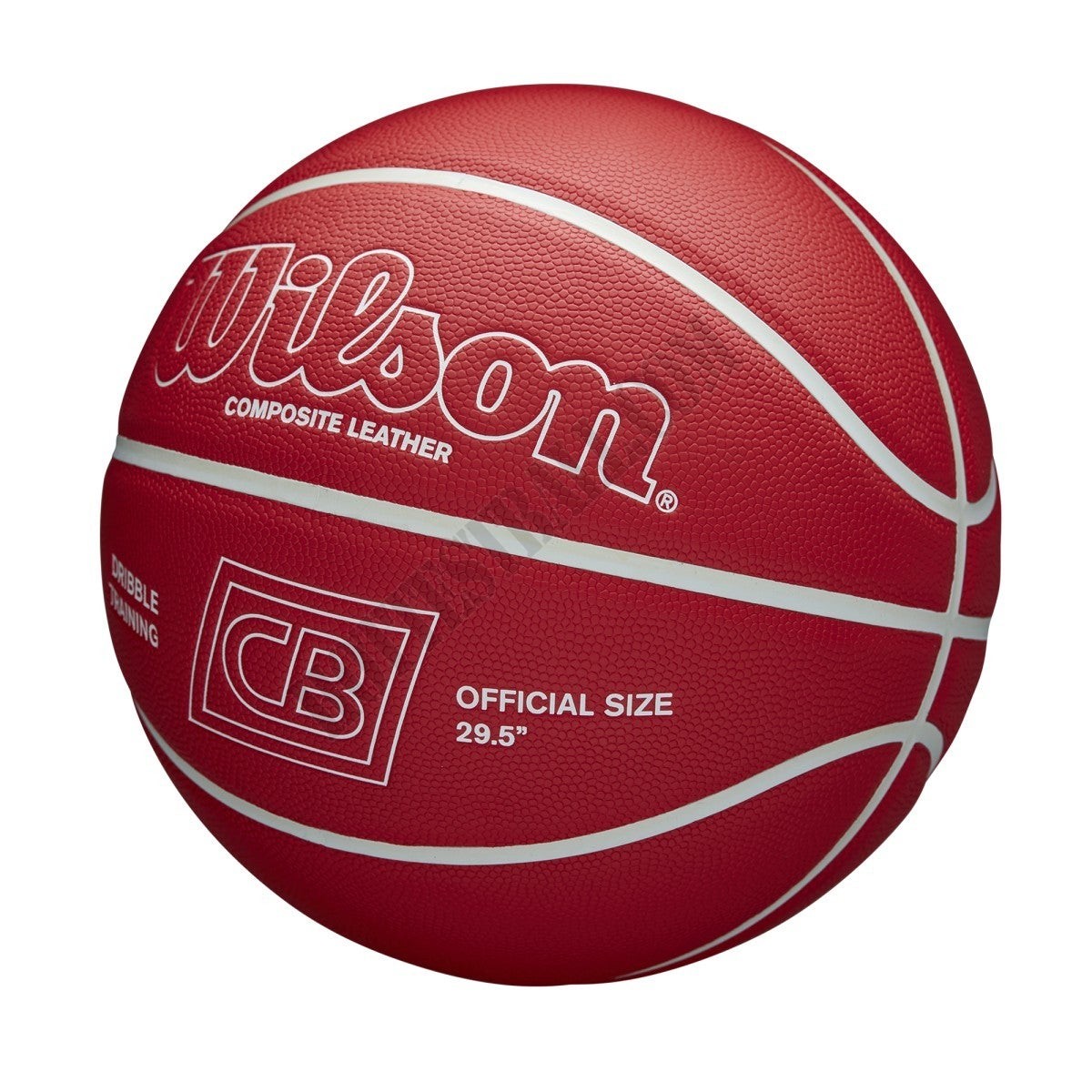 Chris Brickley Dribble Training Basketball - Wilson Discount Store - -2
