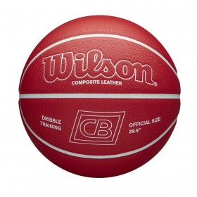 Chris Brickley Dribble Training Basketball - Wilson Discount Store