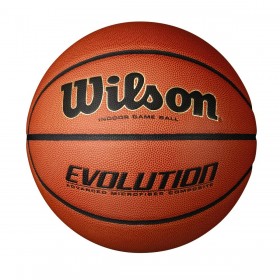 Evolution Game Basketball - Wilson Discount Store