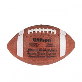 Super Bowl VIII Game Football - Miami Dolphins ● Wilson Promotions