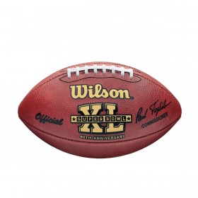 Super Bowl XL Game Football - Pittsburgh Steelers ● Wilson Promotions