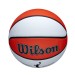 WNBA Authentic Outdoor Basketball - Wilson Discount Store - 5