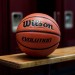 Evolution Game Basketball - Wilson Discount Store - 1