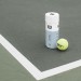 Triniti Tennis Balls - 3 BSleeve - Wilson Discount Store - 4