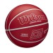 Chris Brickley Dribble Training Basketball - Wilson Discount Store - 1