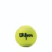 Championship Regular Duty Tennis Balls - 3 BCan (4 Pack) - Wilson Discount Store - 2