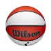 WNBA Authentic Indoor/Outdoor Basketball - Wilson Discount Store - 5