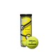 Minions Stage 1 Tennis BCan - Wilson Discount Store - 1