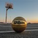 Evo Editions Gold Basketball - Wilson Discount Store - 3