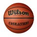 Evolution Game Basketball - Wilson Discount Store - 0