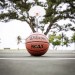NCAA Limited Basketball - Wilson Discount Store - 3